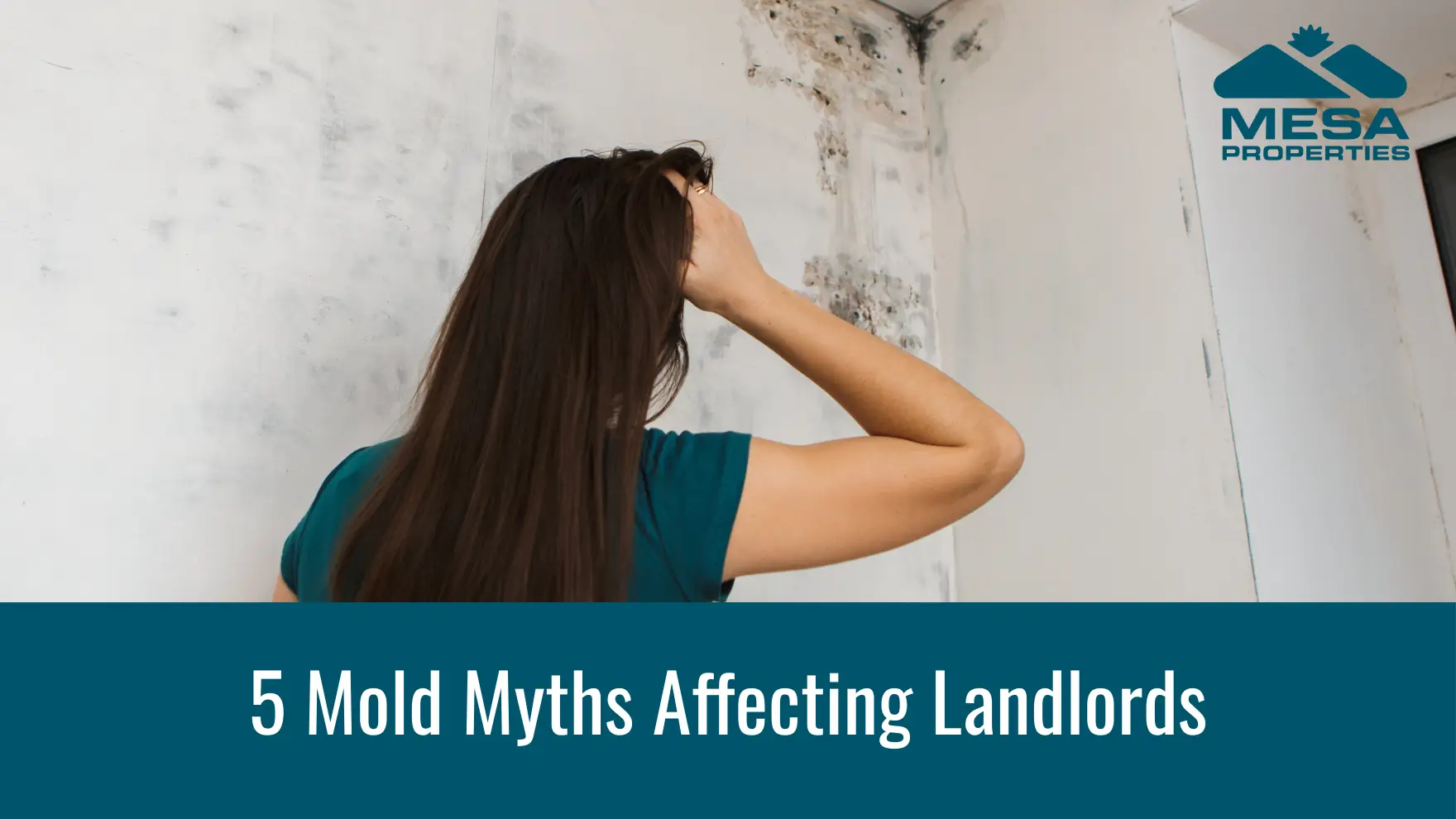 5 Mold Myths Affecting Landlords